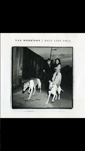 Perfect Fit - Van Morrison - From the 1995 Album - 'Days Like This'