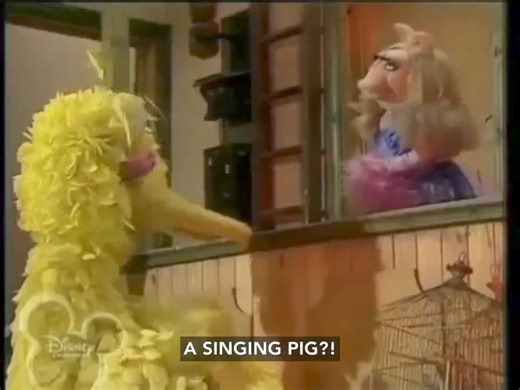 Miss Piggy meets Big Bird (The Muppet Show S3 E18) | Muppet History