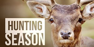 ATV safety for hunting season.