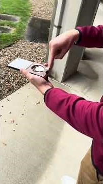 How To Use A Densiometer (Guide)