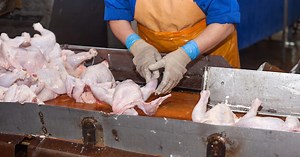 These Workers Were Forced To Wear Diapers For The Most Inhumane Reason