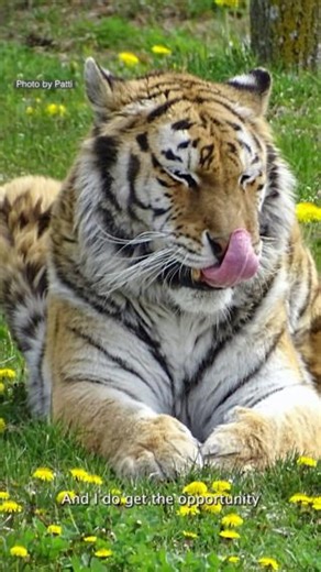 11K views · 279 reactions | Every visit to the Detroit Zoo is made...