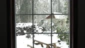 Through the cabin window, snow falls slowly on forest outdoor area...