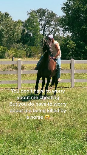 Funny Andalusian Horse vs Shetland Pony Video