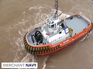 DAMEN ASD TUG 3212 | Merchant Navy