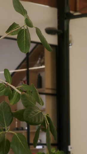 Wait… trees fart? 🌳💨 Miranda Cosgrove has all the facts! 👏 #stemloft #mirandacosgrove #treefart