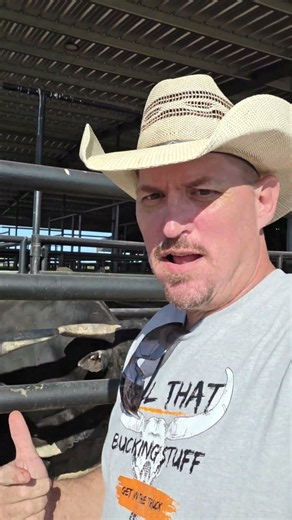 Happy Bucking Wednesday Wyloh Ranch Bucking Bulls Sale Jackpot #Bucking Bulls