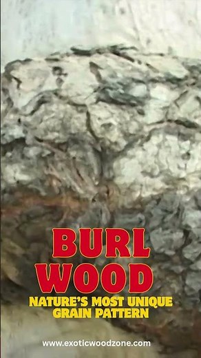 Burl Wood – Nature’s Most Unique Grain Pattern