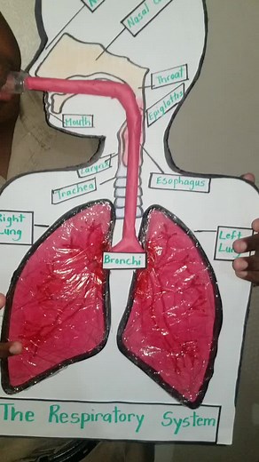 On today's episode of