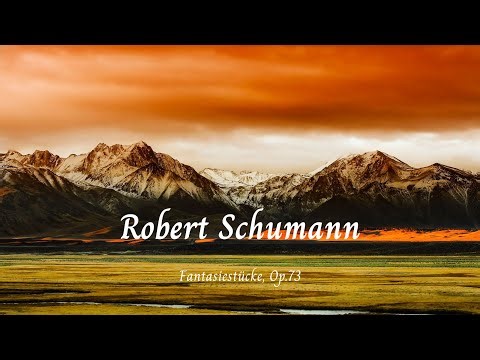 Fantasiestücke, Op.73 - Robert Schumann 🎵