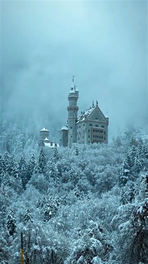 Neuschwanstein Castle 🏰 in Germany 🇩🇪