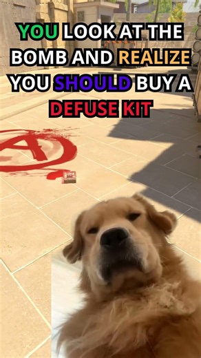 Why didn't I buy a defuse kit?