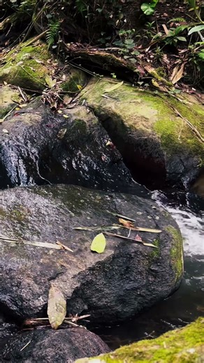 You won’t belive how Relaxing this water sounds is (30s)