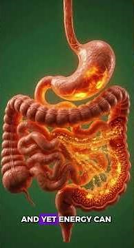 Your Grandma's Stomach Isn't Broken, It's Just Adapting #AgingBody #HealthScience #Digestion