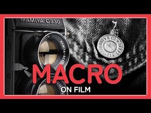Master Macro Photography on Film with the Mamiya C330 and Platypod