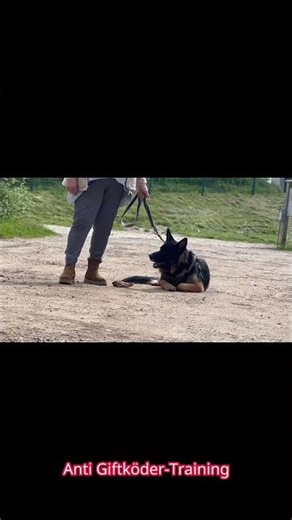 Anti Giftköder-Training
