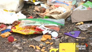 WATCH: As the snow melts in Regina, garbage and drug paraphernalia is being uncovered in neighbourhoods around the city. Our Troy Charles has more on the community driven cleanup. READ: https://globalnews.ca/news/9619774/spring-melt-garbage-drug-paraphernalia-regina-neighbourhood/ | Global Regina