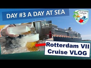 Holland America Cruise VLOG | Day 3 A SEA DAY! | Rotterdam