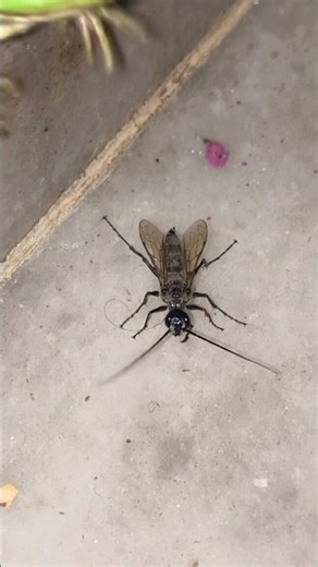 “Blink and you’ll miss it! 🐸⚡” #biology