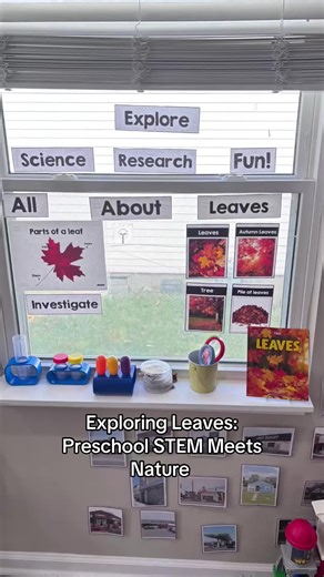 All About Leaves! Our classroom science center is in full bloom! Kids explore leaf parts, colors, and textures through hands-on investigation, research, and play. Perfect for fall-themed STEM learning! #PreschoolScience #LeafStudy #STEMForKids #NatureLearning #FallActivities #TeacherTok #EarlyChildhoodEducation