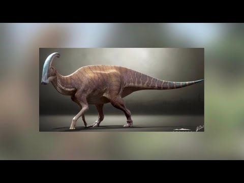Parasaurolophus Real Sounds