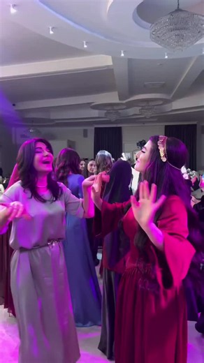 Pashto New Song 2026 — Notereportas | UK TikTok Share Video