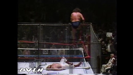 87K views · 1.4K reactions | "Andre the Giant off the top turnbuckle" - Gorilla Monsoon | Gorilla Monsoon Quotes | Facebook