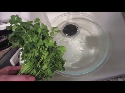 How to Clean & Store Cilantro