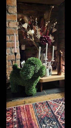 first night at home, guess it's bed time.#turf #turf #astro dog#turf dogs#andrew and astro