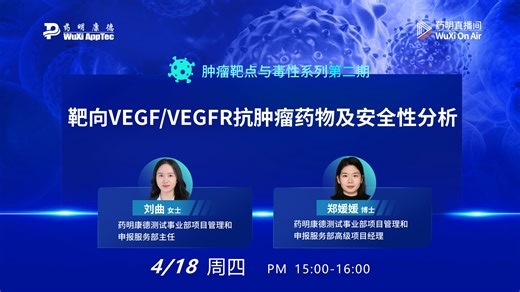 肿瘤靶点与毒性系列(二)：靶向VEGF/VEGFR抗肿瘤药物及安全性分析