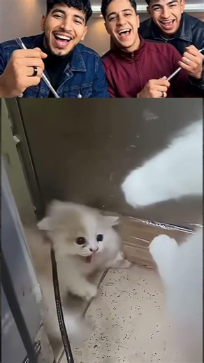 This is so funny, l couldn't stop laughing #funny#doddlersofYouTube#funnyvideos#duet