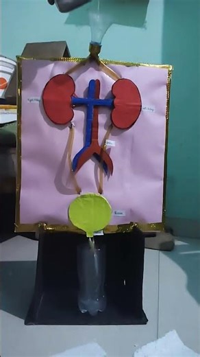 class 10 th science chapter 5 project 😎