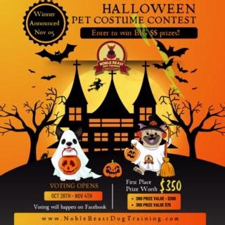  It's that time of year again for the Noble Beast Dog Training's Annual Halloween Pet Costume Contest! PRIZES: 1st place - Gift Certificate in the amount of $350 2nd place - Gift Certificate in the amount of $200 驪3rd place - Gift Certificate in the amount of $75 | Noble Beast Dog Training | Facebook