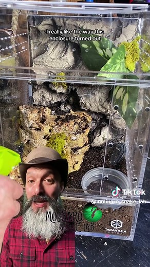 Tarantula Enclosure Setup and Features Review