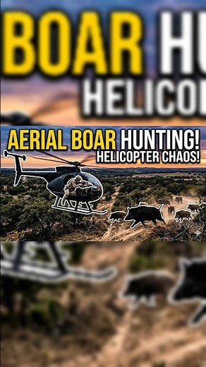 2 Wild Boars Hunted from Helicopter | Intense Action Short