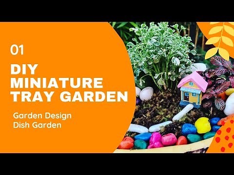 How to Make a Tray Garden at home | DIY Mini Garden | Tray garden ideas