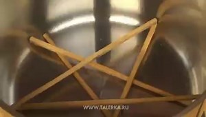 сальтисон