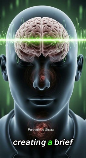 What Happens Inside Your Body When You Smoke a Cigarette 🚬 (Shocking 3D Animation)