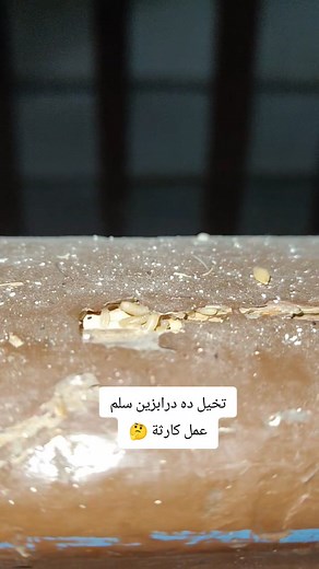 4.2K views · 21 reactions | لو شفت مظهر غريب فى مدخل بيتك متقولش مليش دعوة وده بعيد عني تواصلوا معنا للاستشارة او لتحديد موعد كشف ومعاينة 01006231395 01200064435 035302555 | Alex Green - Pest Control EST. 1993 | Facebook