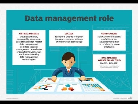 The Role of Database Management in the Digital Age (4 Minutes Microlearning)