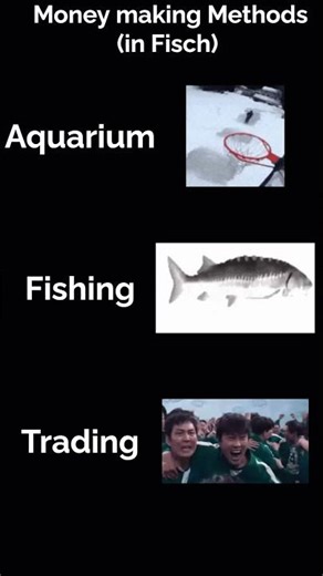 Fisch Money Making Methods. #fisch #roblox #usa