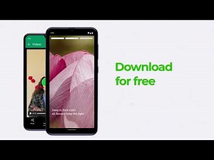 How to Use WhatsApp Status Saver - The Best App to Save WhatsApp Statuses