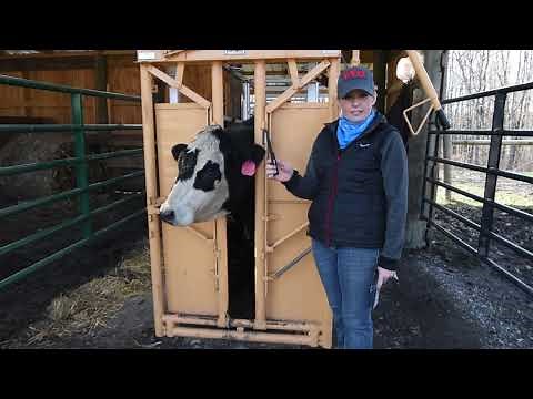 Y-TEX How To Use An Ear Tag Removal Knife