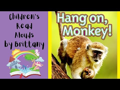 Hang On, Monkey! - Read Aloud