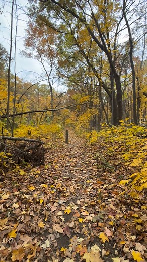 4.8K views · 15 reactions | Old Stateland walking trail #hunting | Jake Outdoorz | Facebook