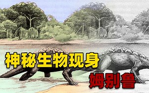 刚果发现疑似剑龙的生物，背部长满三角形板棘，或许是恐龙后代？