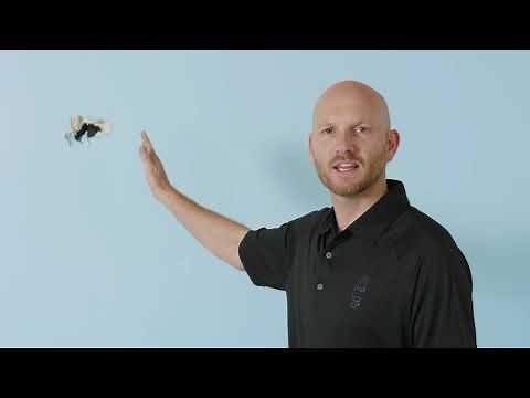 How to repair a large hole in GIB® plasterboard