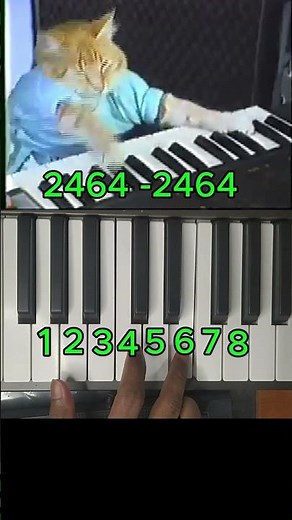 How to play keyboard cat on piano #piano #shorts #cat #howtoplay