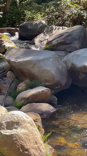 Jacquelyn James on Reels