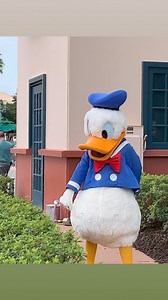 82K views · 1.2K reactions | Happy 90th Birthday Donald! And thank you for taking such good care of the bushes! #from2021 #waltdisneyworld #disneyshollywoodstudios #donaldduck #90thbirthday #disneyover50 | DisneyOver50 | Facebook